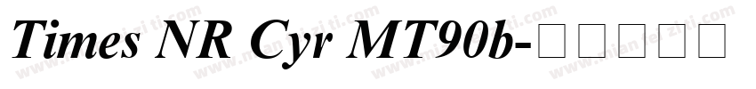 Times NR Cyr MT90b字体转换